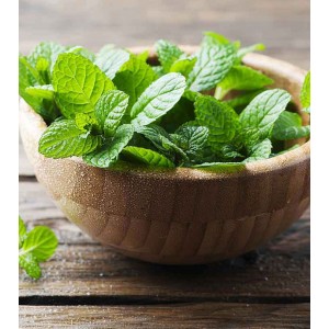 PEPPERMINT LEAVES - 100gm